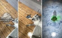 Three screenshots of the Ghostbusters AR tested on a dog.