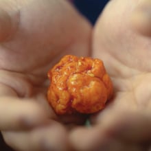 A chicken nugget rests in a man's hands.