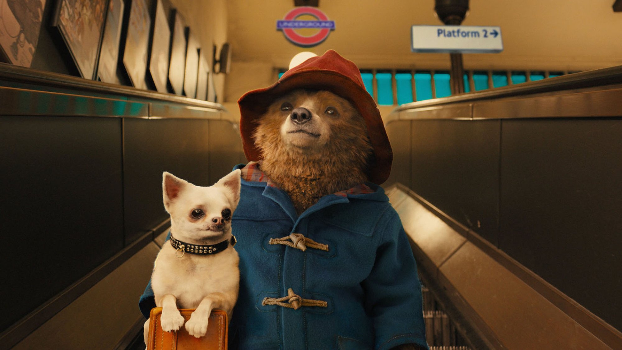 A bear in a red hat and blue coat holds a small dog and a bag as they go down an escalator.