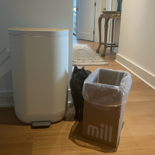 Mill composter bin, cardboard box, and cat with hallway and table in background