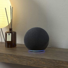 The 4th gen Echo standing on a table surrounded by a bonsai, a lamp, and some incense sticks.