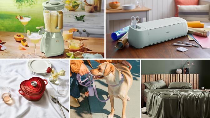Sage green frozen drink maker, blue craft machine, red heart-shaped cast iron dish, dog wearing purple collar and person holding leash, bed with green bed sheets