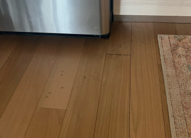 Droplet stains on hardwood floor with refrigerator and rug in background